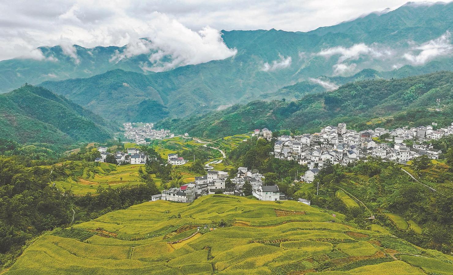 探寻安徽古城街道的韵味