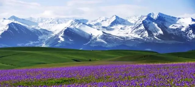 新疆，致尊敬的听众朋友们